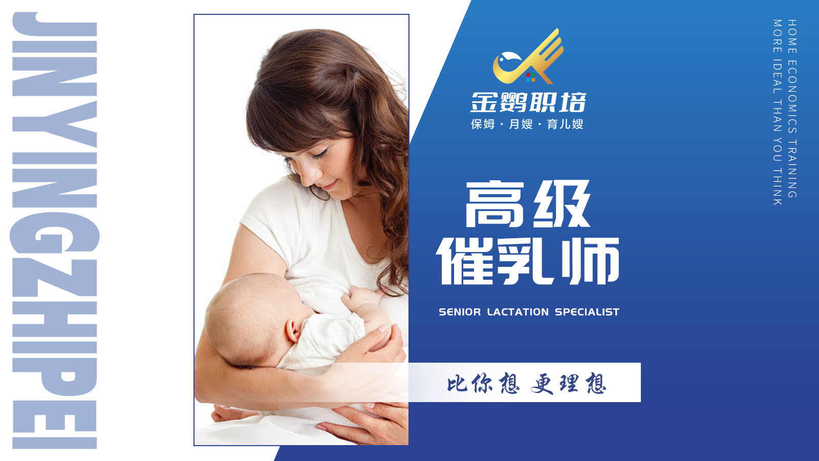 中山市金鹦到家家政服务有限公司